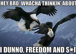 Image result for Funny Murica Memes