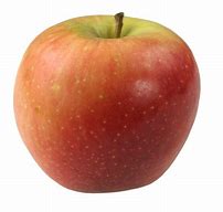 Image result for Apple No Color