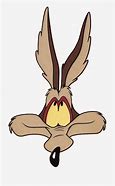 Image result for Wild Coyote Cartoon