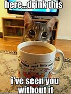 Image result for Funny Cat Coffee Memes