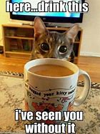 Image result for Sunday Cat Coffee Meme