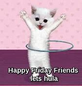 Image result for TGIF Kitties Funny
