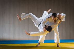 Image result for Jiu Jitsu in Japan