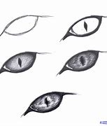 Image result for Sketches of a Cat Eye