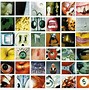 Image result for Pearl Jam releases new album
