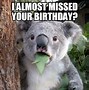 Image result for Almost Your Birthday Meme