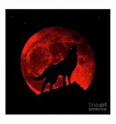 Image result for Wolf Super Moon 2018