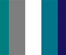 Image result for Charlotte Hornets Colors