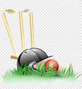 Image result for Wicket Cricket Background