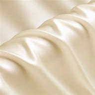 Image result for Champagne Color Fabric