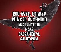 Image result for Winged Humanoid