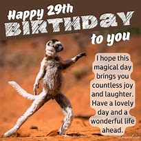 Image result for Happy 29th Birthday Funny