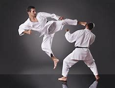Image result for Martial Arts Sparring