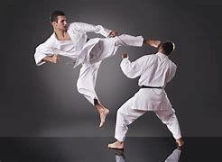 Image result for Martial Arts Sparring Photography