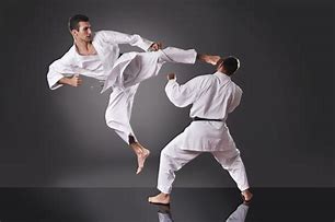 Image result for Martial Arts Sparring