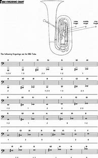 Image result for Tuba Notes