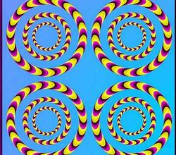 Image result for Mirror Illusion Halve Bodied