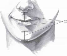 Image result for Chin Drawing