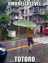 Image result for Umbrella Hat Meme