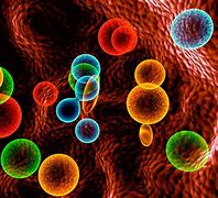 Image result for Colourful Cells