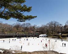 Image result for Ice Hockey Rink Diagram