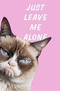 Image result for Grumpy Cat Memes so Beautiful