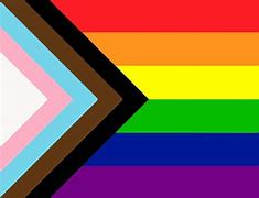 Image result for Rainbow Triangle Flag
