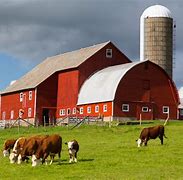 Image result for Local Produce Farms I Can Visit