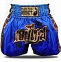 Image result for Barbarian Muay Thai Shorts