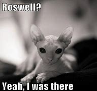 Image result for Roswell Memes