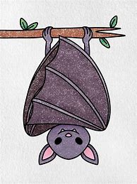 Image result for Hanging Bat Line Drawing