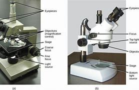 Image result for Microscope Scale