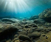 Image result for Ocean Rocks Underwater