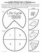 Image result for Frog Life Cycle Template