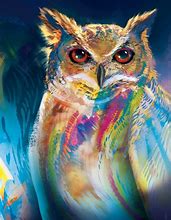 Image result for Amazing Owl Art