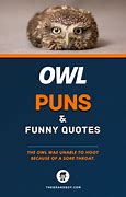 Image result for Funny Owl Jokes