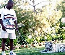 Image result for mike tyson tiger cage