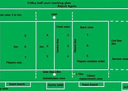 Image result for Volleyball Structure
