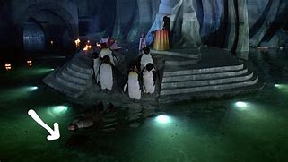 Image result for Danny DeVito Penguin Fish