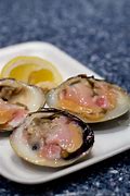 Image result for UK Clams