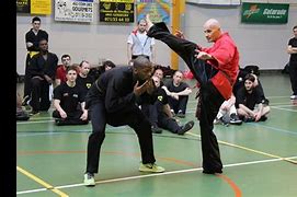 Image result for Penchak Silat