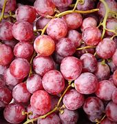 Image result for Red Grapes