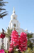 Image result for Houston LDS Temple