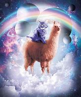 Image result for Llama Cat
