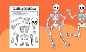 Image result for Build a Skeleton