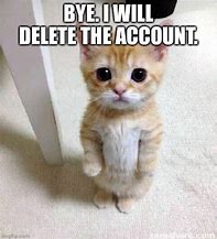 Image result for Delete That Cat Meme