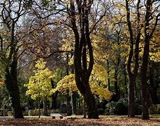 Image result for canon m6 mk 2 sample images