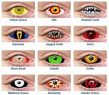 Image result for Cool Halloween Contact Lenses