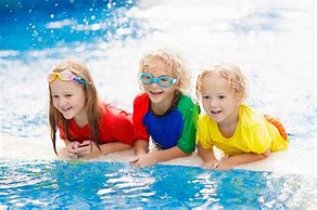 Image result for Grou Swimming Photos