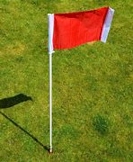 Image result for Sports Flags